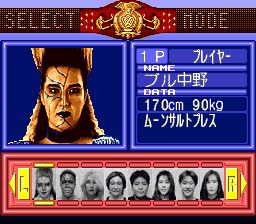 火爆女子摔角SFC游戏截图第5张