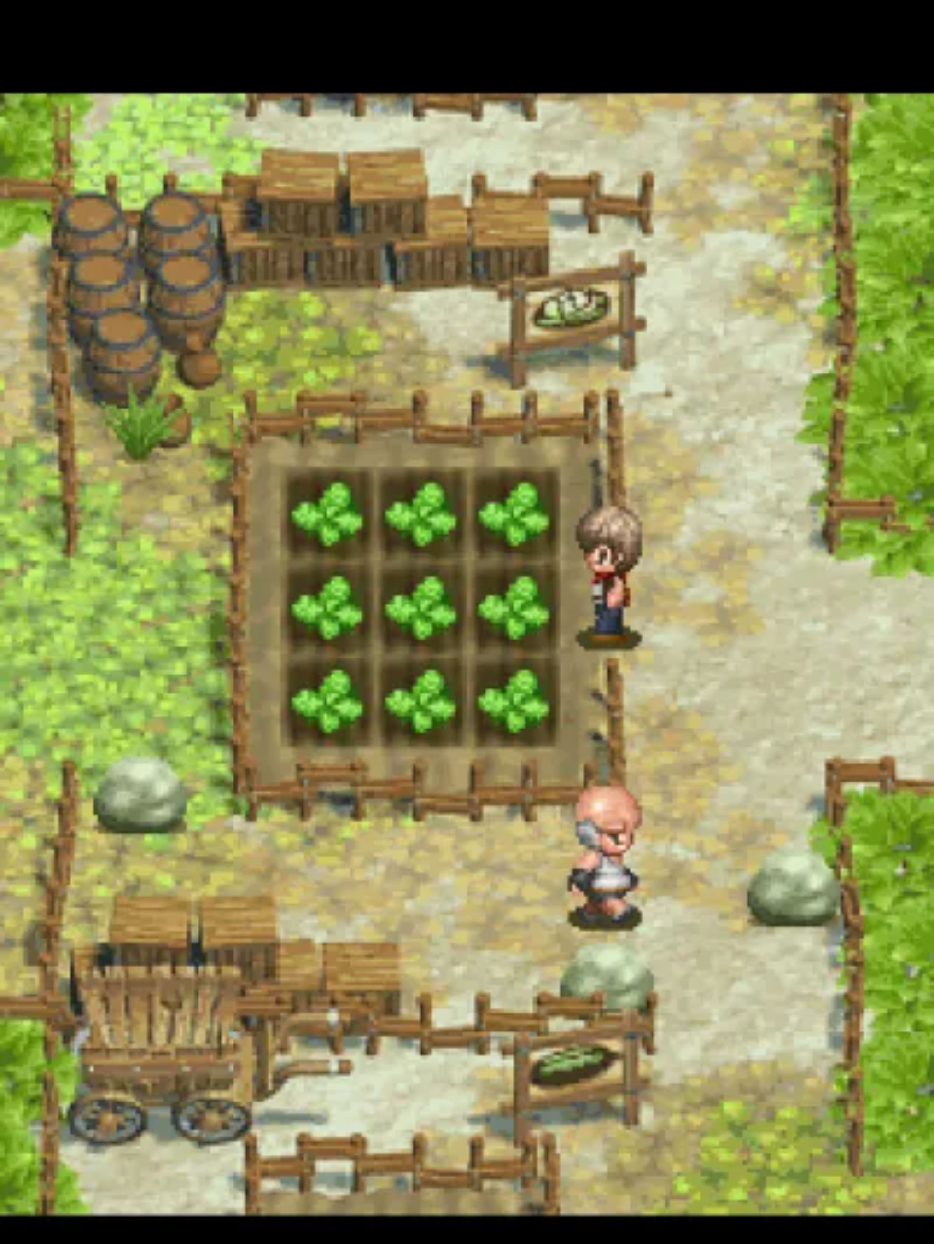 3D版田园物语Java游戏截图第9张