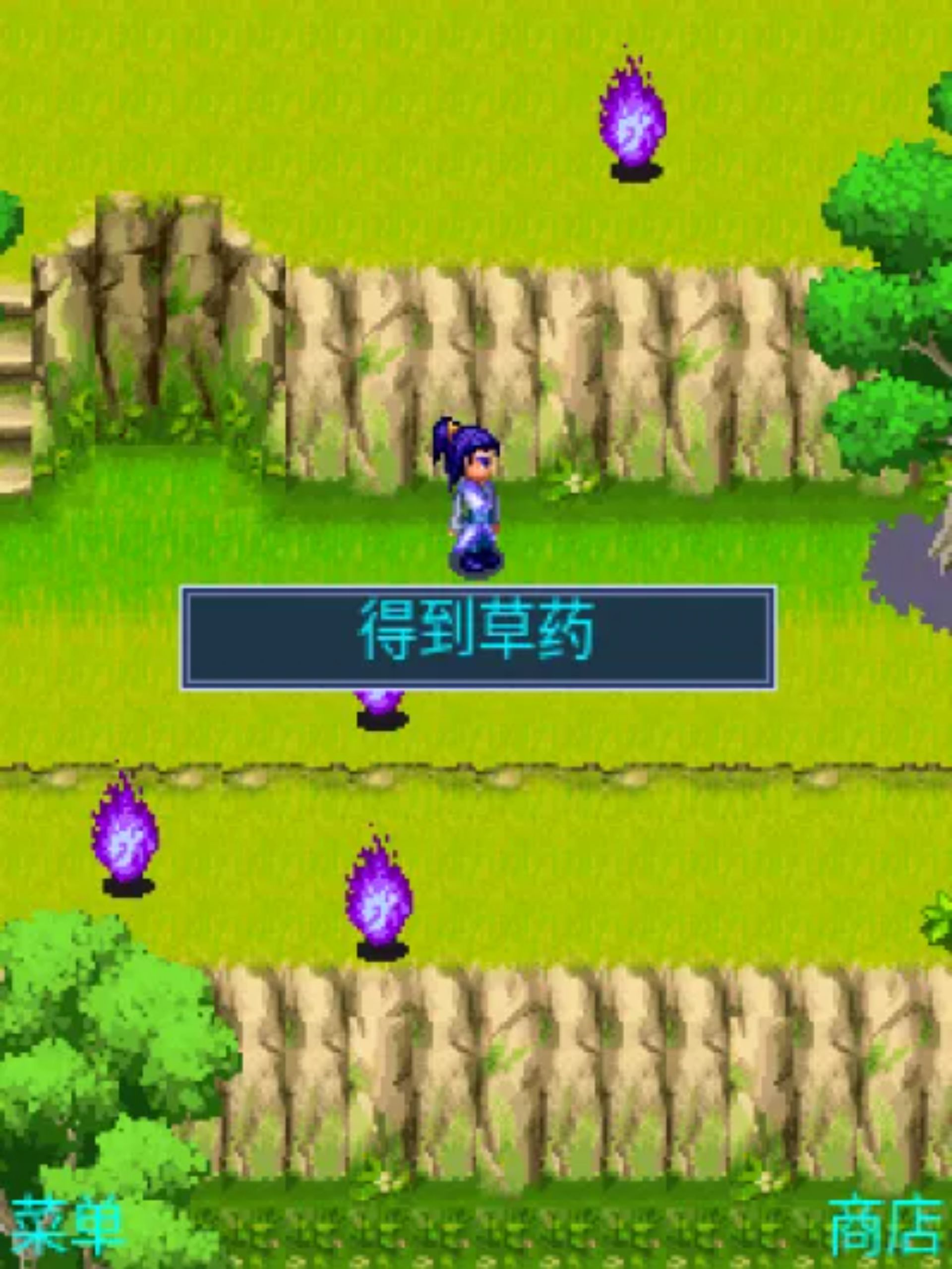 笑傲江湖：葵花劫Java游戏截图第13张