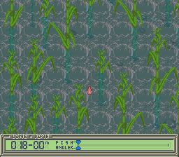 超级钓鱼王1SFC游戏截图第10张