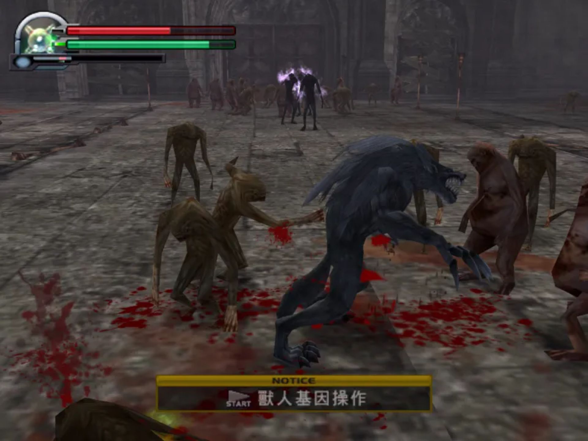 兽王记PS2游戏截图第8张