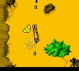 狮子王：辛巴的伟大冒险GBC游戏截图第7张