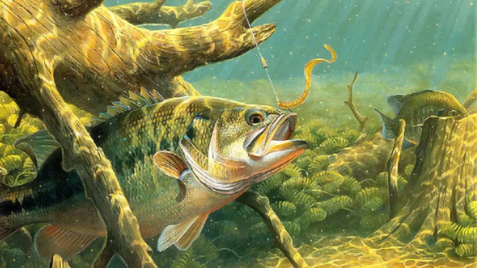 巴斯快速钓鱼N64游戏截图第2张