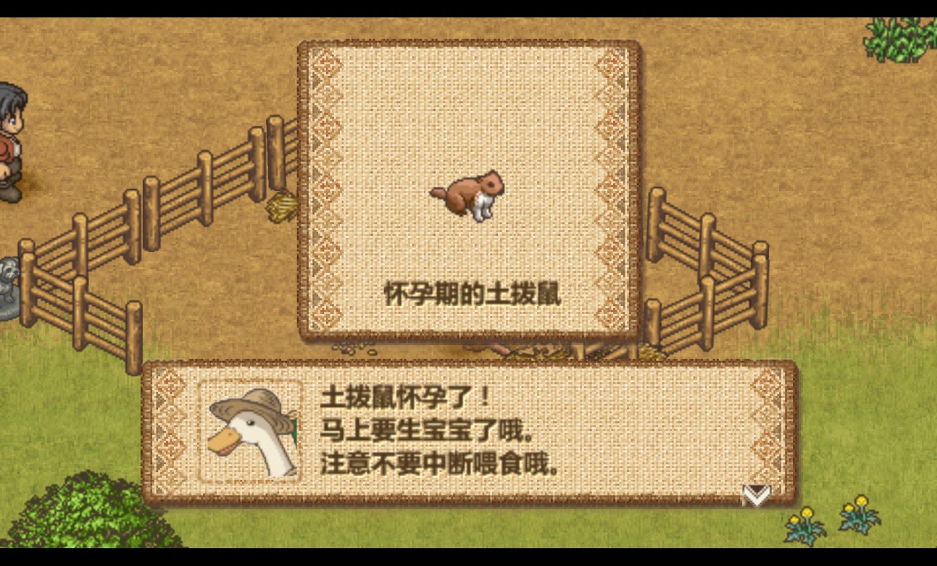 欢迎来到绵羊村PSP游戏截图第12张