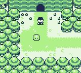 堕落骑士森林GB游戏截图第5张