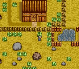 牧场物语SFC游戏截图第5张