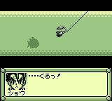 爆钓列传：翔GB游戏截图第16张