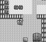 牧场物语GBGB游戏截图第18张