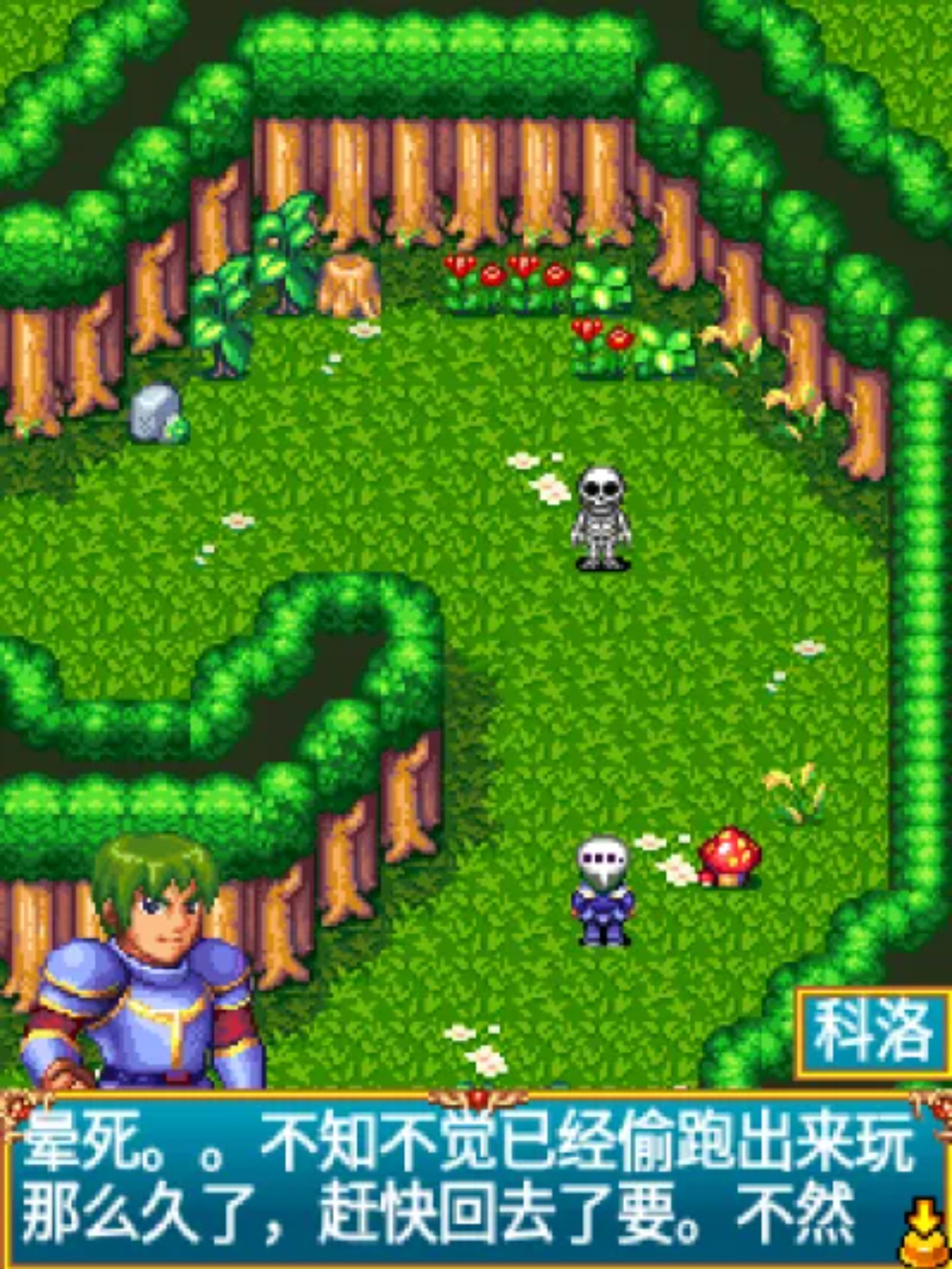 梦幻骑士团Java游戏截图第2张