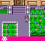 劳拉GBC游戏截图第19张