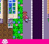 劳拉GBC游戏截图第17张