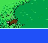 雪貂物语GBC游戏截图第11张