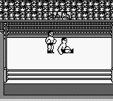 职业摔跤GB游戏截图第8张