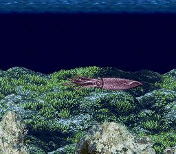 海钓高手SFC游戏截图第5张