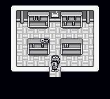 狗粪岛GB游戏截图第9张