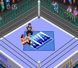 超级热血摔角世界3SFC游戏截图第11张