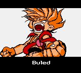 格斗剑神GBC游戏截图第3张