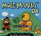 疯狂鼹鼠DXGBC游戏截图第1张