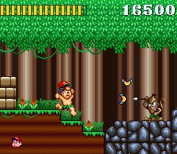 高桥名人之大冒险岛1SFC游戏截图第15张