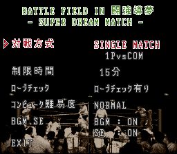 新日本职业摔角94：斗强导梦战场SFC游戏截图第3张