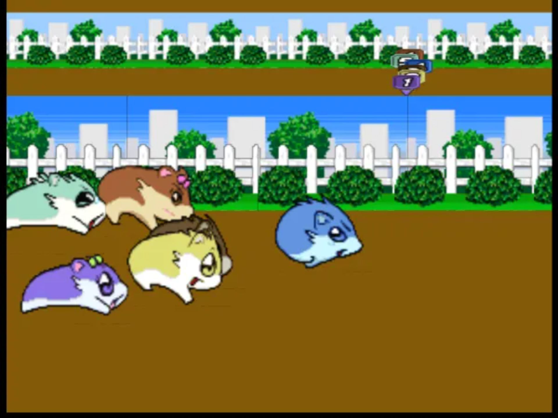 仓鼠物语64N64游戏截图第3张