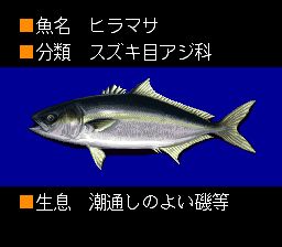 海钓名人：日本花鲈篇SFC游戏截图第4张