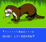 雪貂物语GBC游戏截图第8张