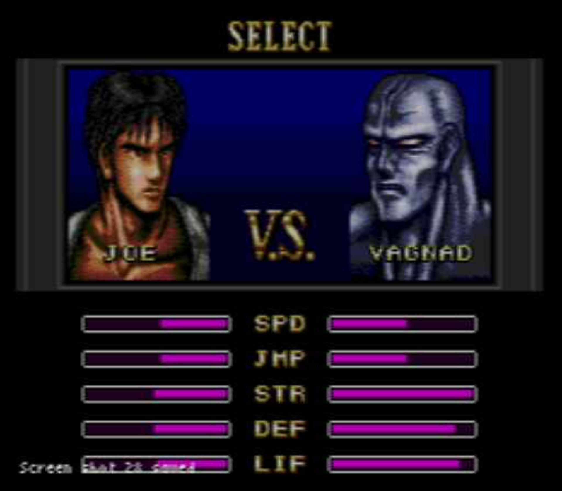 致命格斗MD游戏截图第3张