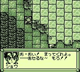 爆钓列传：翔GB游戏截图第9张