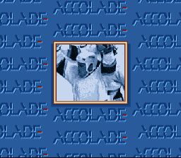 冰上曲棍球SFC游戏截图第2张