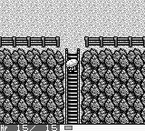 风来的西林：月影村的怪物GB游戏截图第10张