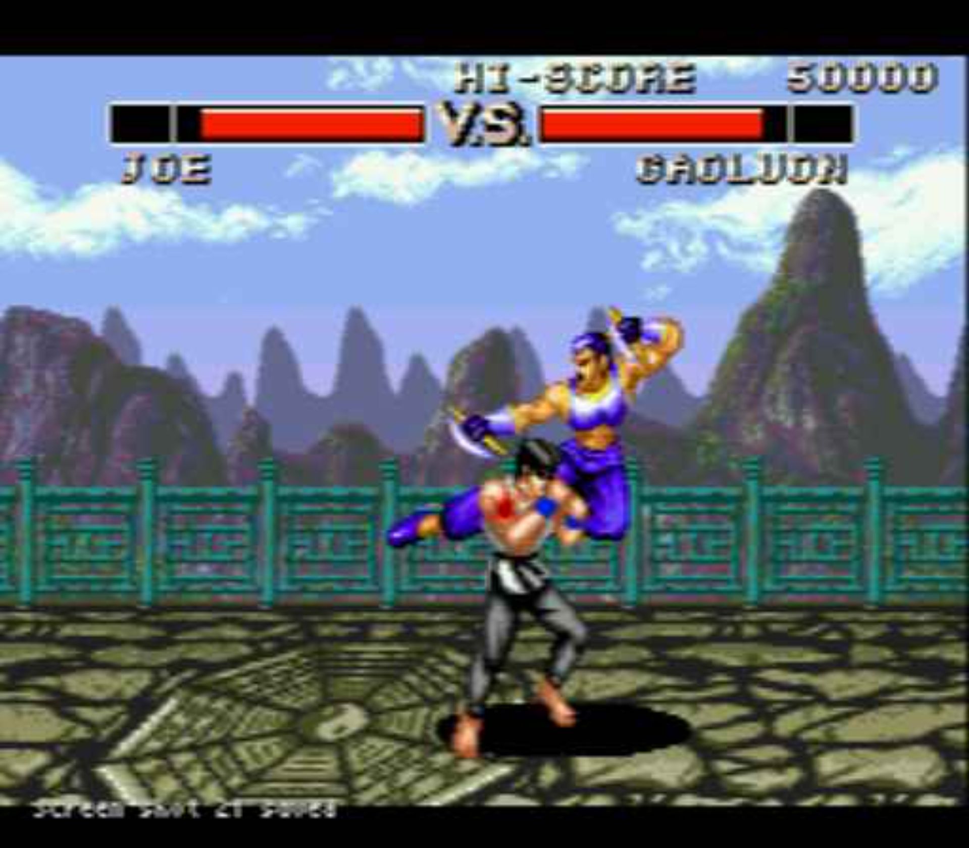 致命格斗MD游戏截图第9张