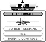 壮志凌云：勇气与荣耀GB游戏截图第6张