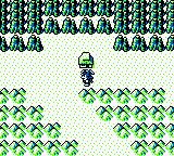 三国英雄传／吞食天地GB游戏截图第16张