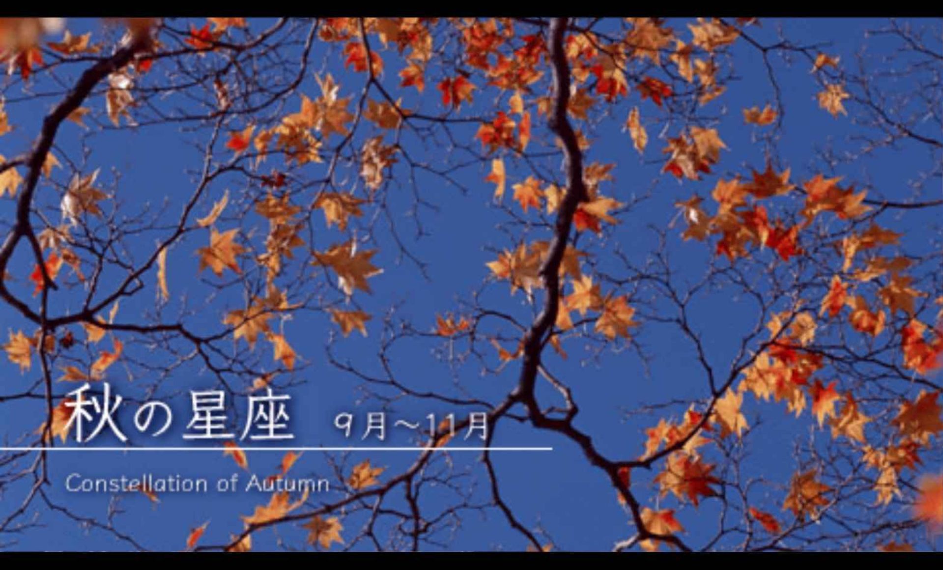 家庭星空：携带版PSP游戏截图第6张