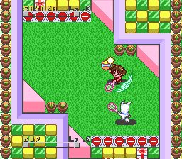 家有贱狗SFC游戏截图第5张