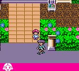 劳拉GBC游戏截图第16张