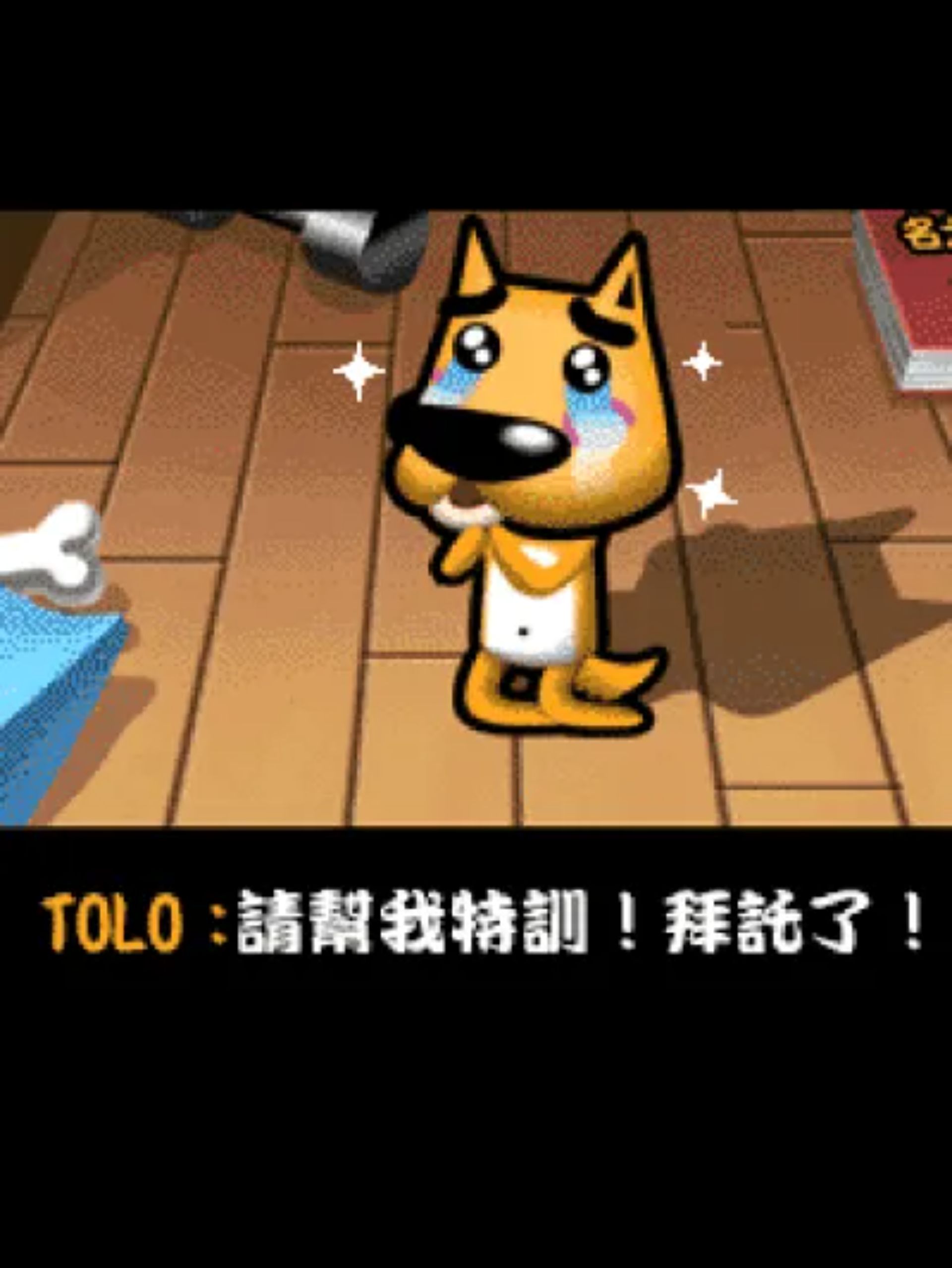 宠物玩伴TOLO狗：名犬鉴定篇Java游戏截图第5张