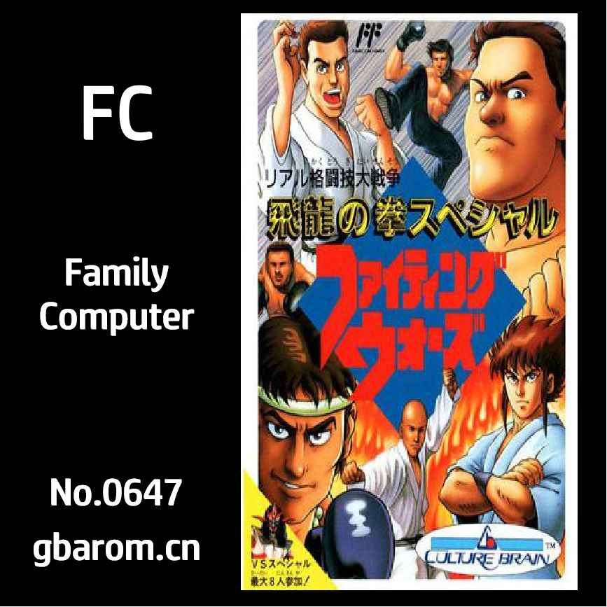 飞龙之拳特别篇：格斗大战