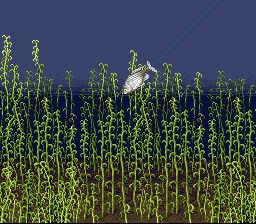 钓鱼太郎1／川钓太郎1SFC游戏截图第9张