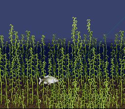 钓鱼太郎1／川钓太郎1SFC游戏截图第21张