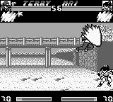 热斗RB饿狼传说特别版GB游戏截图第5张