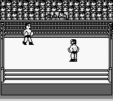 职业摔跤GB游戏截图第5张