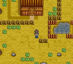 牧场物语SFC游戏截图第6张