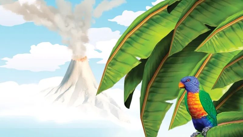 模拟人生2：孤岛物语／生存游戏／漂流者NDS游戏截图第2张