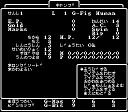 巫术5：混沌核心SFC游戏截图第5张