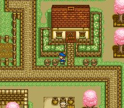 牧场物语SFC游戏截图第10张