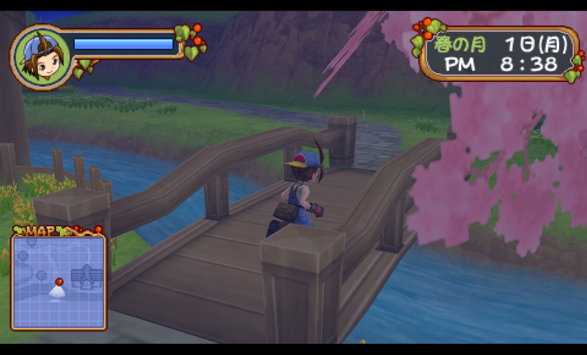 牧场物语：蜜糖村和大家的愿望PSP游戏截图第15张