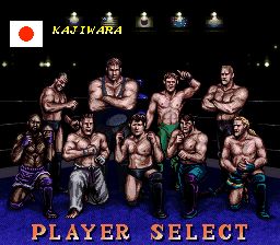 综合格斗技2SFC游戏截图第5张