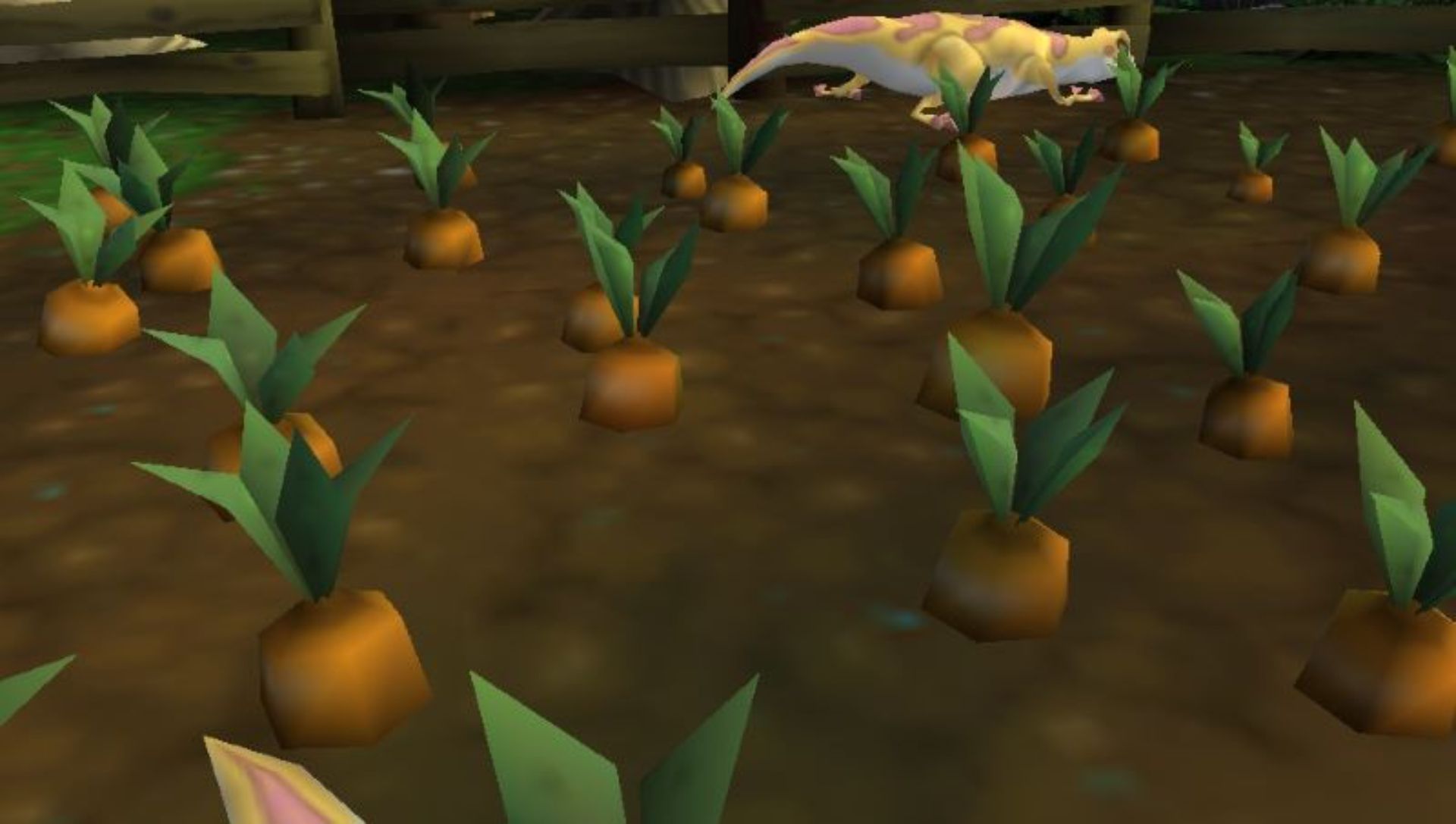 宠物大冒险2PSP游戏截图第6张